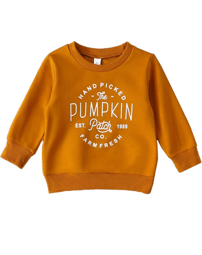 Pumpkin Patch Sweater